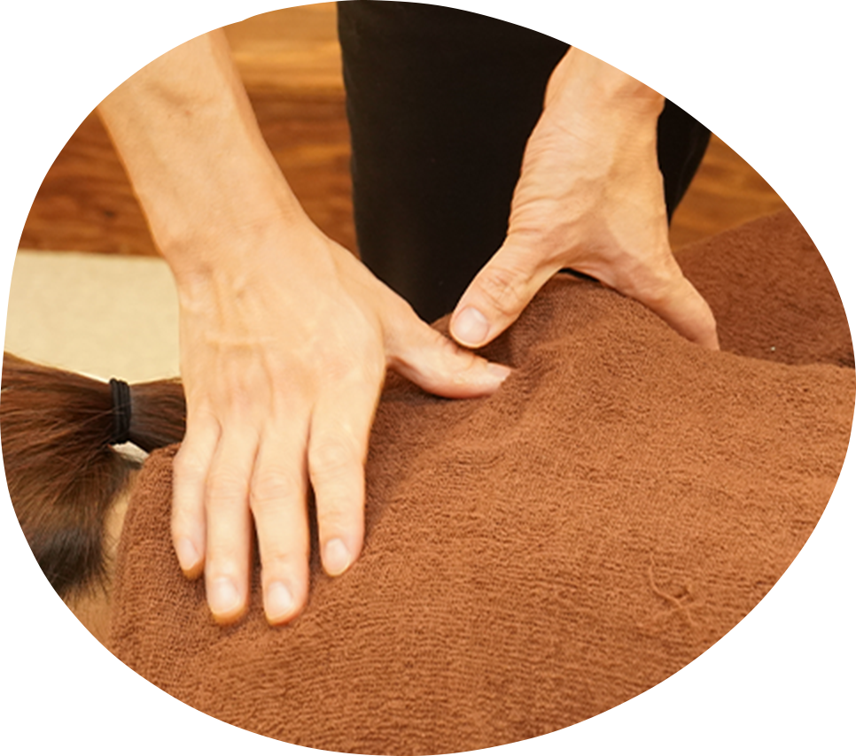 メニュー・料金